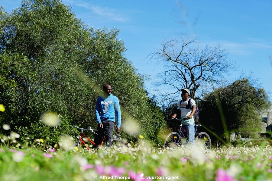 #cycleStellenbosch